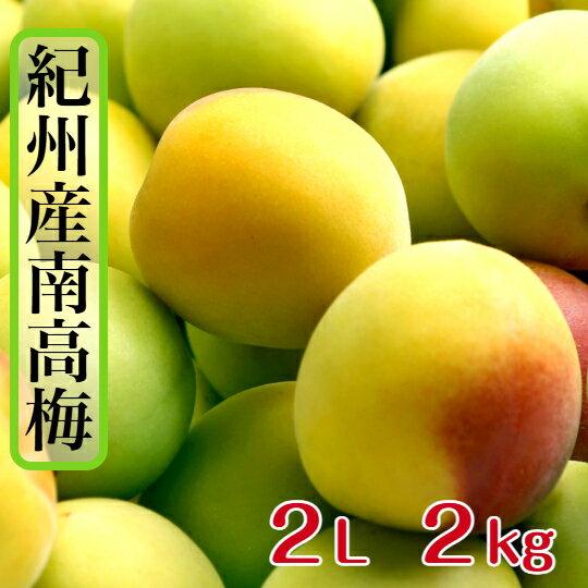 Other - 南高梅 【樹熟梅】 秀品 2kg 2Lサイズ 送料無料 梅干し 梅干し用 梅酒用 梅シロップ ジャム用 梅ジュース 和歌山産 紀州産 梅 うめ 青梅 中熟 梅干のブランド 厳選 手選別 中玉 ギフト 贈答用 中熟 完熟梅 完熟