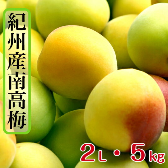 和歌山県産 南高梅 【樹熟梅】 2L 5kg (中粒) 家庭用 多少の傷がある梅が入ります...