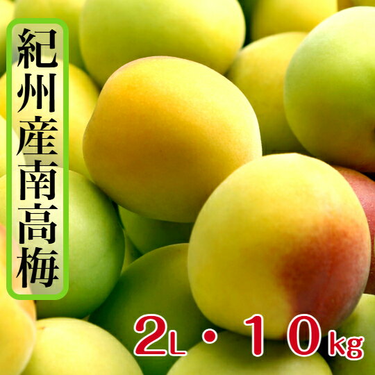 和歌山県産 南高梅 【樹熟梅】10kg 2L（中粒）家庭用 多少の傷がある梅が入ります...