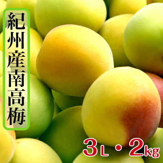 和歌山県産 南高梅 【樹熟梅】家庭用 2kg 3L サイズ （大粒）多少の傷がある梅が少...