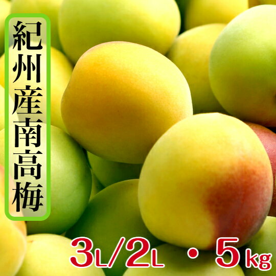 和歌山県産 南高梅 【樹熟梅】家庭用 5kg 2L/3L サイズ (大粒・中粒) 多少の傷があ...