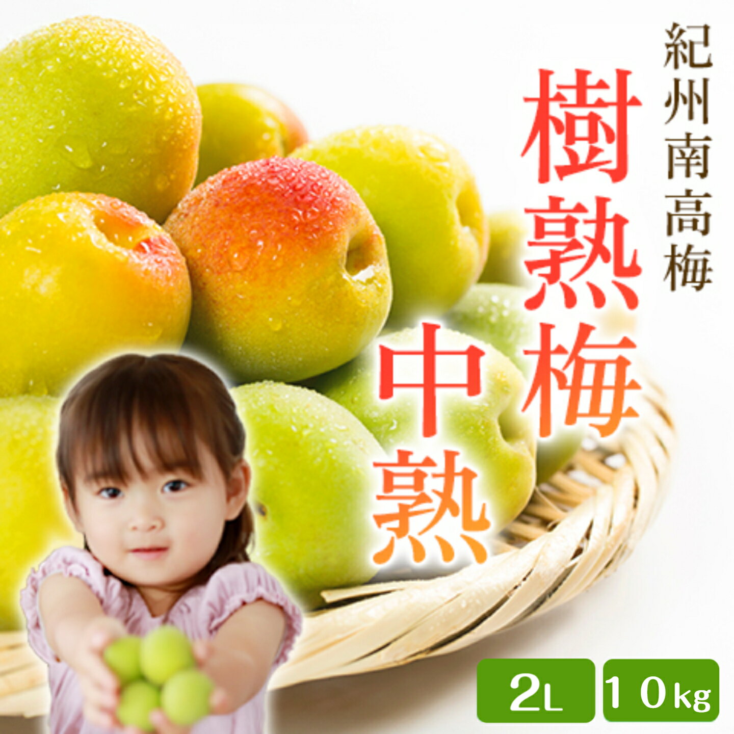 和歌山県産 紀州南高梅【樹熟梅・中熟】A級品 2Lサイズ 10kg 採れたて 産地直送 送...