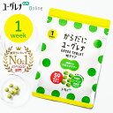 【お試し】からだにユーグレナ Green Tablet 粒タイプ 1week | ユーグレナ サプリメント 緑汁 ミドリムシ みどりむし ミドリむし サプリ 健康食品 健康飲料 栄養補助食品 男性 女性 ビタミン ミネラル アミノ酸 鉄 アカシア オリゴ糖 食物繊維 野菜 グリーンタブレット