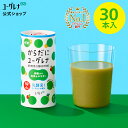 からだにユーグレナ Green Smoothie 乳酸菌 30本 ユーグレナ スムージー 飲むユーグレナ ミドリムシ みどりむし 健康飲料 野菜 果物 ジュース 男性 女性 ビタミン ミネラル アミノ酸 鉄 乳酸菌飲料 青汁 ドリンク 鉄分 腸活 腸内環境 グリーンスムージー乳酸菌