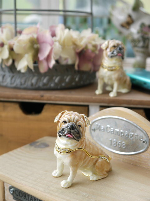 �֤�����졡�ѥ� �����סڳڥ���_�����ۡڳڥ���_��å����ϡ�