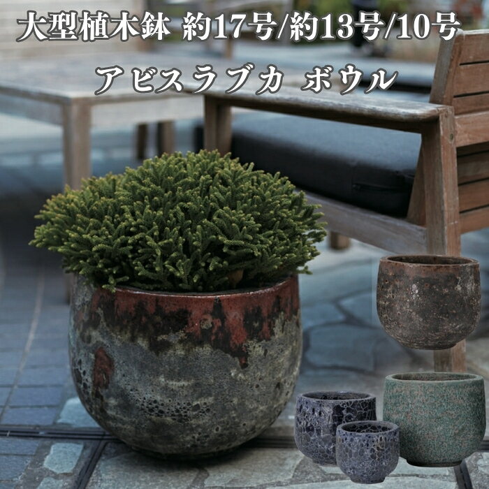 楽天市場】鉢 釉薬陶器 アビスラブカの通販