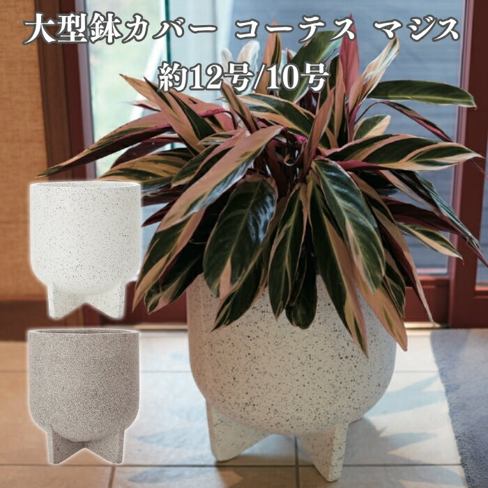 鉢カバー おしゃれ 大型 13号 10号 円柱 脚付き 縦長 テラゾ セメント KONTON コー...