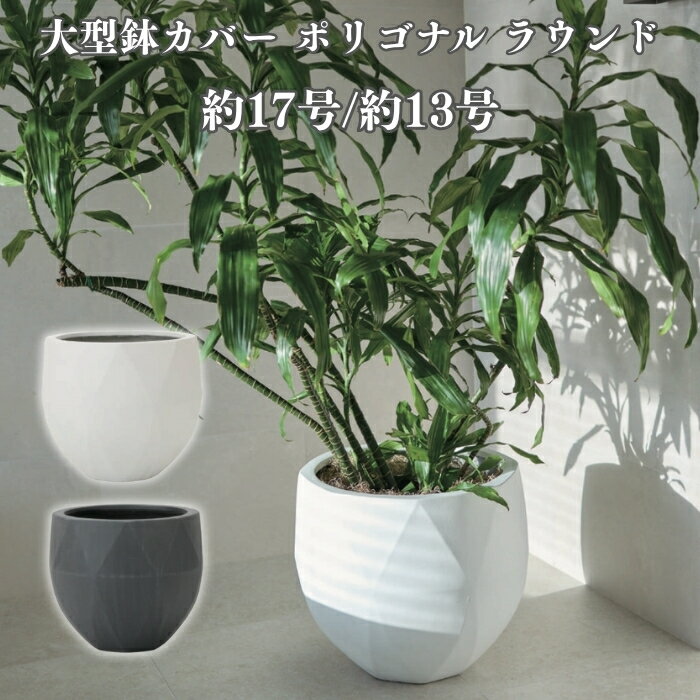 楽天市場】konton（植木鉢・プランター｜ガーデニング・農業）：花