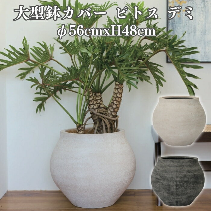 Rakuten - 鉢カバー おしゃれ 大型 丸 ラウンド φ56cmxH48cm 18号 壺型 アンティーク セメント KONTON ピトス デミ ファイバーセメント 軽量 底穴なし 屋内 室内 L オフホワイト ダークグレー 観葉植物 シンボルツリー 北欧 モダン ナチュラル インテリア