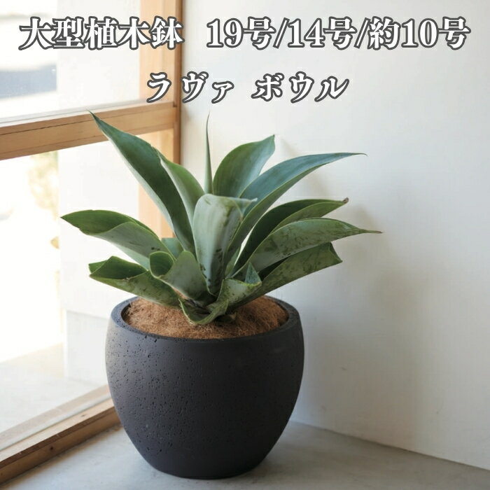 KONTON ラヴァ ボウル おしゃれで高級な大型プランター 低く丸い、半球のボウル型。溶岩のような孔のある質感が個性的です。 低く丸い、半球のボウル型。溶岩のような孔のある質感が個性的です。ラヴァは、シンプルで洗練された佇まいの、おしゃれで高級感のあるプランターです。玄関やテラス、店舗の植栽に表情を添えます。 KONTON / コントンというブランド KONTON(コントン)は、2012年に立ち上げられた、プロの現場で選ばれる高級プランターブランドです。商業施設・ホテル・オフィスなどの植栽空間を数多く手がけてきました。母体は、1951年に日本有数の陶器産地・愛知県常滑で創業した株式会社ヤマテー。常滑で培った鉢づくりのノウハウを礎に、現代の空間に合うオリジナルデザインを生み出しています。 素材とデザイン ラヴァは、表面にいくつもの孔がある個性的なテクスチャーのファイバー強化セメントプランターです。まるで溶岩が冷えて固まったような外観で、ラフすぎず程よくナチュラルな表情。深いブラックのボディが、植物の色を美しく引き立てます。 選ばれる理由 (1) おしゃれな高級感プロの現場で選ばれるデザイン (2) 素材の表情溶岩のような孔のあるテクスチャーと深いブラックの個性的な表情 (3) 確かなつくり高い耐候性で屋外でも長く使えます (4) 底穴あり水はけを確保し、植物を直接植え込めます こんな空間で活躍します ■ 玄関アプローチに一台。シンボルツリーを植えれば、住まいの顔になります■ テラスやベランダのアクセントに、寄せ植えで季節感を■ 店舗やカフェのファサード、ホテルやオフィスのエントランスに屋外でグリーンの主役になる佇まいです。 サイズ サイズ外寸容量重量Lφ57 x H42cm70L19kgMφ42 x H32cm30L10kgSφ31 x H24cm11L4.5kg 相性のよい植物 多肉植物、グラス類、寄せ植え、コンパクトな観葉植物など。低く広い口を活かした群植にも。 カラーバリエーション ブラック(黒)。溶岩のような深い黒が、植物のグリーンを引き立てます 品番一覧 サイズカラー品番 Lブラック(黒)LA-002K19EMブラック(黒)LA-002K14ESブラック(黒)LA-002K10E 商品仕様 ブランドKONTON(コントン) シリーズラヴァ ボウル 素材ファイバーセメント(ガラス繊維強化セメント) 底穴あり 耐寒水はけのよい状態に限り使用可 設置場所屋外向け(防水インナー併用で屋内可) こんな方におすすめ ■ 玄関やテラスを、おしゃれで高級感のあるプランターで格上げしたい方■ 観葉植物や多肉植物、寄せ植えを楽しみたい方■ 北欧・和モダン・ナチュラルな空間に合うデザインを探している方■ 素材の表情にこだわりたい方■ 店舗やオフィスに、プロ仕様の佇まいを取り入れたい法人の方 長く使える、という価値 高い耐候性により、屋外でも長く美しさを保ちます。洗練された定番デザインだから、植え替えても置き場所を変えても、付き合い続けられる一鉢です。届いたその日から、玄関やテラスが少し特別になります。 ご使用上の注意 ・手作業で製造しているため、孔の大きさや色・質感に個体差が生じます。素材の風合いとしてお楽しみください。・寒冷地では水はけのよい状態を保ってご使用ください。・防水インナーを併用すれば、室内のグリーンインテリアや鉢カバーとしてもお使いいただけます。