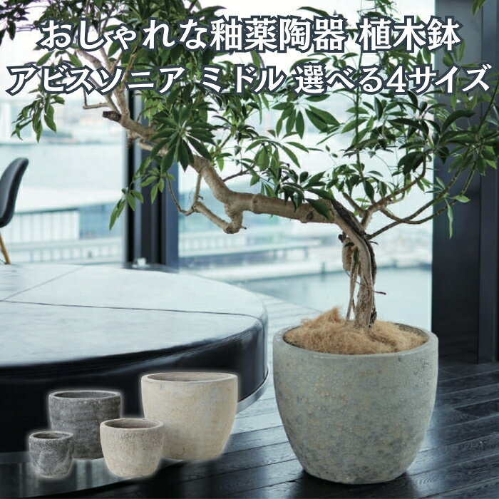 楽天市場】植木鉢 アビスの通販