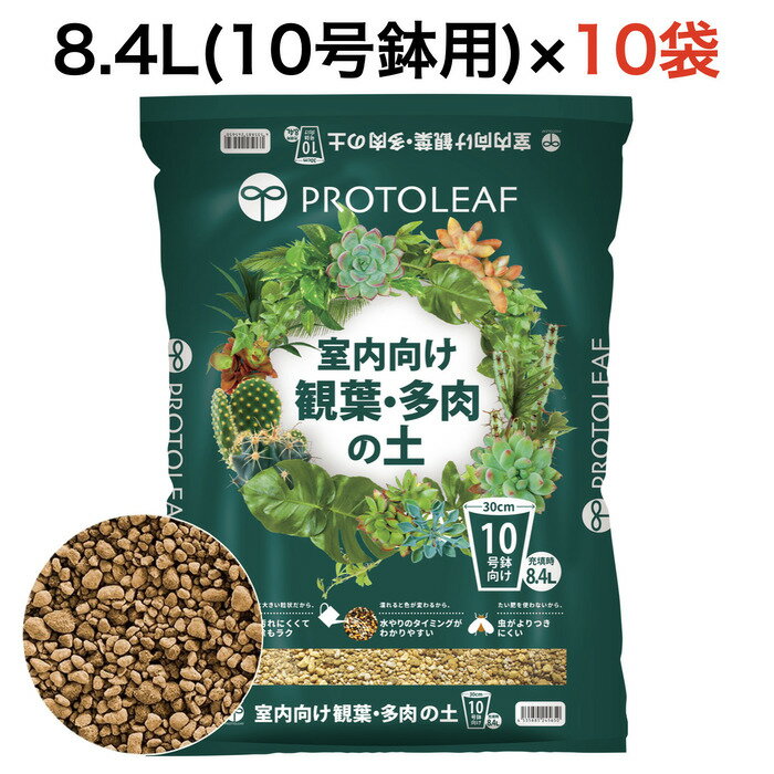 まとめ買い プロトリーフ 室内向け観葉・多肉の土10号鉢用 8.4L×10袋 観葉植物 多肉植物