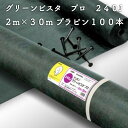グリーンビスタ プロ 防草・砂利下シート240グリーン 強力タイプ 2m×30m(プラピン100本付)除草シート
