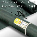 グリーンビスタ プロ 防草・砂利下シート136グリーン 強力タイプ 2m×50m(プラピン100本付)除草シート