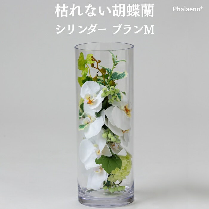 胡蝶蘭 造花 シリンダーブラン M 枯れない アーティフィシャルフラワー 高級 フラワーアレンジメント ギフト 開店祝い 就任祝い 周年記念 お祝い 受付 ロビー お供え 花 Phalaeno＋