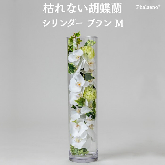乐天商城 - 胡蝶蘭 造花 シリンダーブラン L 枯れない アーティフィシャルフラワー 高級 フラワーアレンジメント ギフト 開店祝い 就任祝い 周年記念 お祝い 受付 ロビー お供え 花 Phalaeno＋