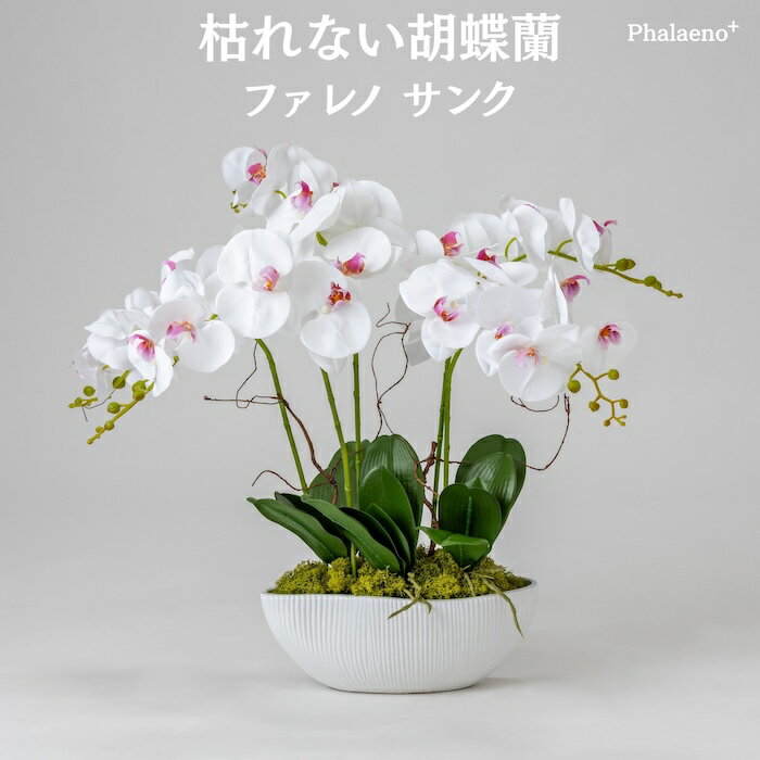 乐天商城 - 胡蝶蘭 造花 ファレノ サンク 枯れない アーティフィシャルフラワー 高級 フラワーアレンジメント ギフト 開店祝い 就任祝い 周年記念 お祝い 受付 ロビー お供え 花 Phalaeno＋