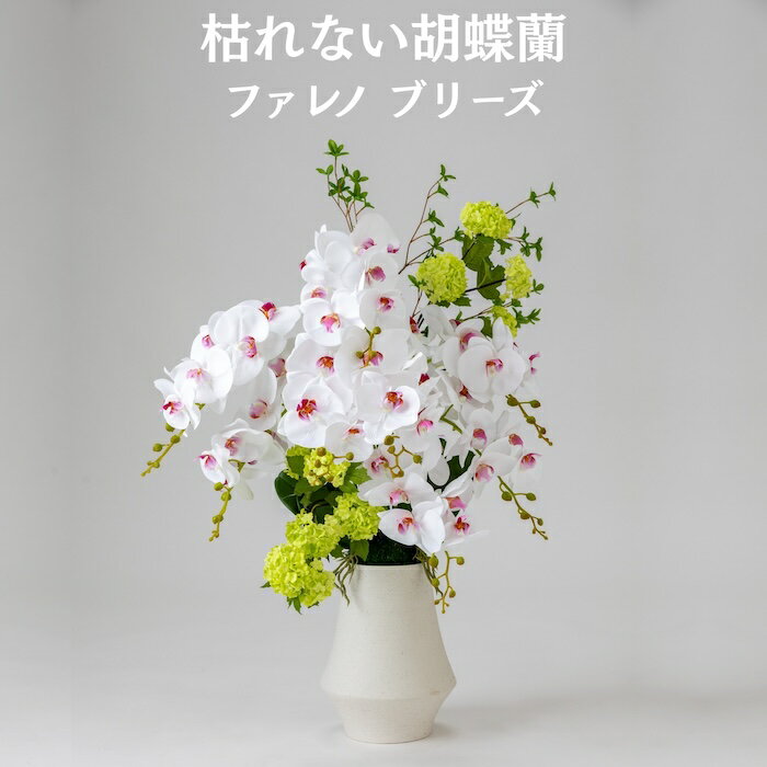 Rakuten - 胡蝶蘭 造花 ファレノ ブリーズ 枯れない アーティフィシャルフラワー 高級 フラワーアレンジメント ギフト 開店祝い 就任祝い 周年記念 お祝い 受付 ロビー お供え 花 Phalaeno＋