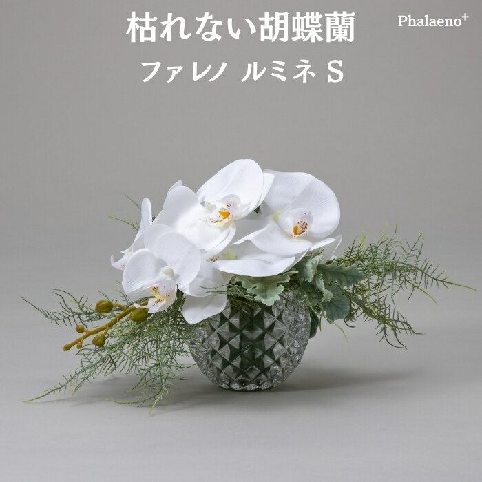 乐天商城 - 胡蝶蘭 造花 ファレノ ルミネL 枯れない アーティフィシャルフラワー 高級 フラワーアレンジメント ギフト 開店祝い 就任祝い 周年記念 お祝い 受付 ロビー お供え 花 Phalaeno＋