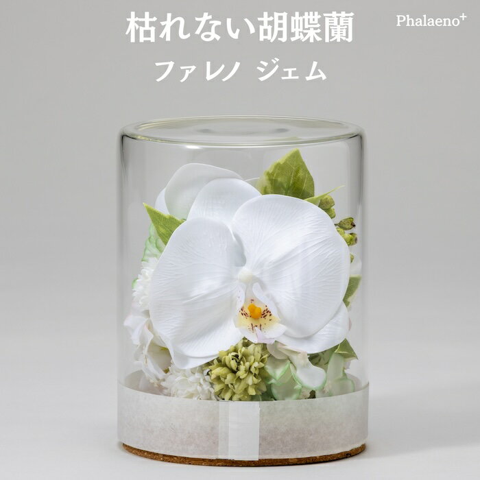 乐天商城 - 胡蝶蘭 造花 ファレノ ジェム 枯れない アーティフィシャルフラワー 高級 フラワーアレンジメント ギフト 開店祝い 就任祝い 周年記念 お祝い 受付 ロビー お供え 花 Phalaeno＋