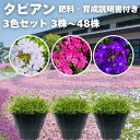 タピアン 3色セット 3株 / 6株 / 12株 / 24株 / 48株 9cmポット苗 肥料付き 3号 グラ