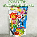 90日タイプ有機入りなが効き肥料 1kg 2kg 4kg 元肥 追肥 野菜 根菜 果物 クラピアなどのグランドカバーにおすすめ スイカ きゅうり トマト ミニトマト ピーマン パプリカ イチゴ ナス