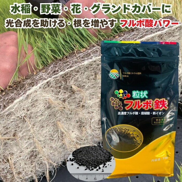 粒状フルボ鉄 3kg 肥料 土壌改良資材入り指定混合肥料 高濃度フルボ酸 腐植酸 水稲 野菜 花 グランドカバー ガーデニング 畑 作物 家庭菜園 農業 農作物 発根
