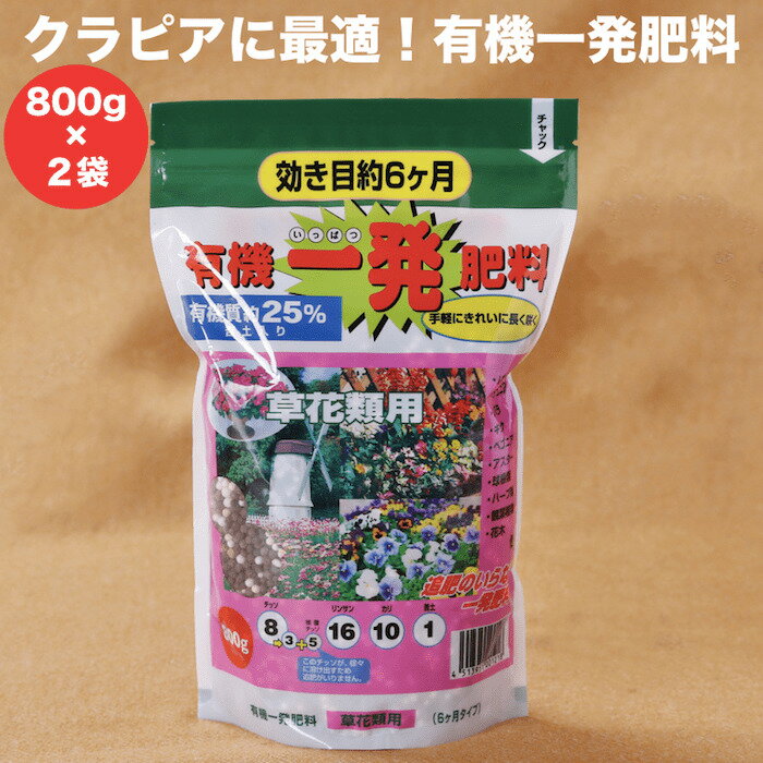 有機一発肥料 草花類用 1600g（800g・2袋）クラピアK7 K5 K3 におすすめ 観葉植物 K7 K5 K3 有機肥料 グランドカバー 芝桜 シバザクラ 追肥 元肥 お花の苗 株 プランター 鉢植えにも