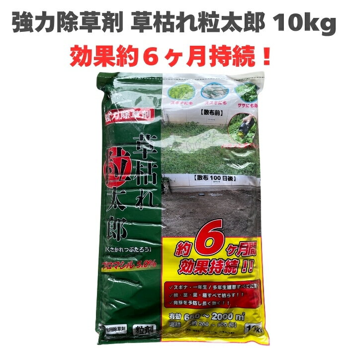 除草剤 強力 顆粒 草枯れ粒太郎 10kg 効果約6ヶ月持続 草丈40cmまで対応 土壌処理型 業務用にも 散布器..
