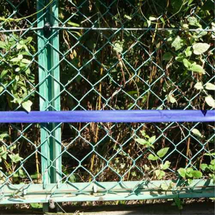 猪レス 猪用 忌避剤 イノシシ対策 猪STOPテープ 20m巻 1個 / 2個 / 10個 / 20個 レインボー薬品 撃退 農作物の被害防止 忌避剤 猪対策 作物 侵入防止 撃退グッズ 猪よけ 獣害 イノブタ