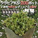 【レビュー特典あり】 クラピア K5 薄桃品種 9cmポット苗 200株 有機入り一発果菜肥料1600gと完全植栽マニュアル付き イワダレソウ改良種 グランドカ...