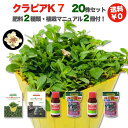 10/25販売終了 【レビュー特典あり】 クラピア K7 新品種 20株 すくすくセット 完全植栽マニュアル付き 苗20ポット 肥料2種(有機一発肥料、メネデール) 雑草対策 グランドカバー K5より耐病性が優れる