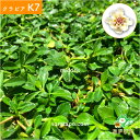 midoris-green:10027665のサンプル画像2