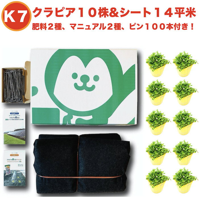 超新作 レビュー特典あり クラピアk7 雑草対策 ポット苗10株 すくすくシート14平米 J字型ピン100本 肥料2種 完全植栽マニュアル2種付き グランドカバー クラピア クラピア 芝桜 雑草対策 グランドカバー マルチング クラハシチョウ 2f71bec2 Graffcolor Com Br 超新作 レビュー特典あり クラピアk7 雑草対策 ポット苗10株 すくすくシート14平米 J字型ピン100本 肥料2種 完全植栽マニュアル2種付き グランドカバー クラピア クラピア 芝桜 雑草対策 グランドカバー マルチング クラハシチョウ 2f71bec2 Graffcolor Com Br