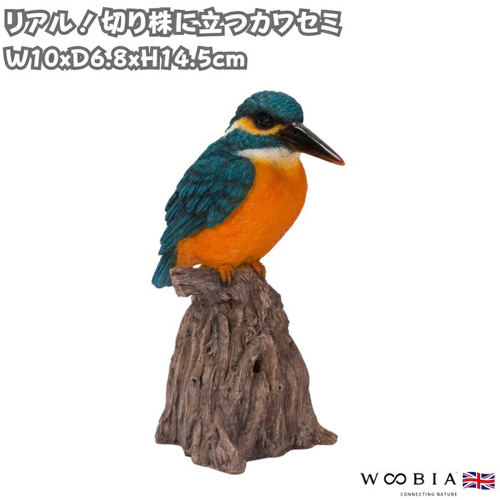 楽天市場】カワセミ クリスタルの通販