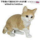 母の日プレゼントカード付き 置物 下を向いて遊ぶビスケットとら猫 ネコ 高さ23cm woobia ウービア 大きい かわいい おしゃれ ガーデン インテリア オブジェ 巨大 可愛い プレゼント 北欧 玄関 雑貨 動物 モダン 面白い 庭 ギフト 屋外 家 リアル 玄関先 面白い(3)