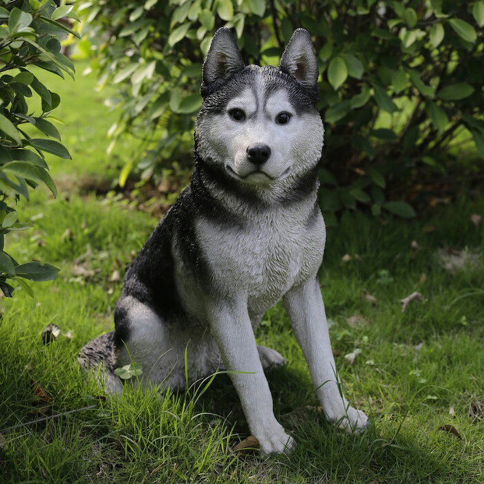 犬 置物 大きい お座りシベリアンハスキー 高さ50cm かわいい woobia ウービア 巨大オブジェ イヌ おしゃれ ガーデン インテリア 可愛い プレゼント 北欧 玄関 雑貨 動物 モダン 面白い 庭 ギフト 屋外 家 リアル 玄関先 卓上 ガーデンオーナメント [2]