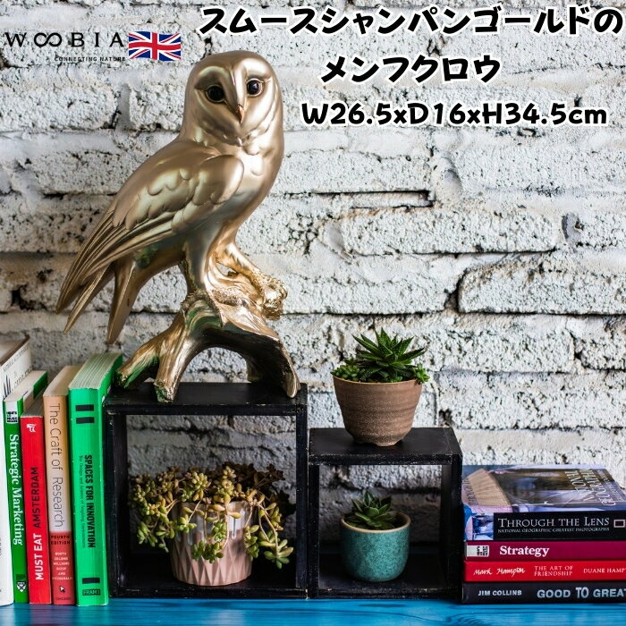 置物 鳥 スムースシャンパンゴールドのメンフクロウ 金色 縁起物 高さ34.5cm woobia ウービア 大きい かわいい おしゃれ ガーデン インテリア オブジェ 巨大 可愛い プレゼント 北欧 玄関 雑貨 動物 モダン 面白い 庭 ギフト 屋外 家 リアル 玄関先 ガーデンオーナメント