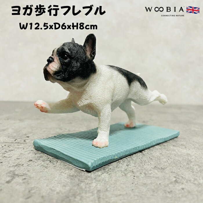 楽天市場】ヨガ 犬の通販