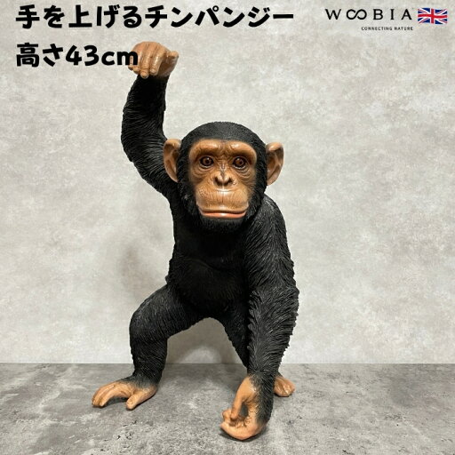 置物 手を上げるチンパンジー 高さ43cm woobia ウービア 大きい かわいい おしゃれ ガーデン インテリア オブジェ 巨大 可愛い プレゼント 北欧 玄関 雑貨 動物 モダン 面白い 庭 ギフト 屋外 家 リアル 玄関先 ガーデンオーナメント 面白い 置物 手を上げるチンパンジー 高さ43cm woobia ウービア 大きい かわいい おしゃれ ガーデン インテリア オブジェ 巨大 可愛い プレゼント 北欧 玄関 雑貨 動物 モダン 面白い 庭 ギフト 屋外 家 リアル 玄関先 ガーデンオーナメント 面白い