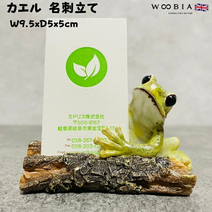 かわいい 置物 カエルの名刺立て 蛙 縁起物 風水 woobia ウービア おしゃれ ガーデン インテリア トイレ オブジェ 可愛い プレゼント 北欧 玄関 雑貨 動物 モダン 面白い 庭 ギフト 屋外 家 リアル 玄関先 卓上 ガーデンオーナメント