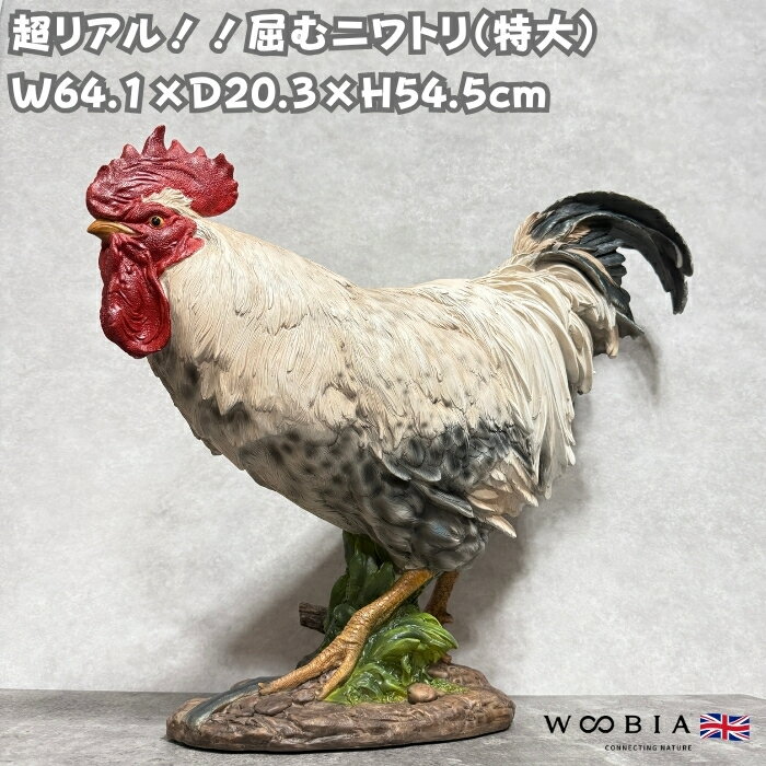 置物 鳥 かわいい 北欧 動物 屈むニワトリ 特大オブジェ 鶏 高さ54.5cm woobia ウービア 大きい おしゃれ ガーデン インテリア 大型 巨大 プレゼント 玄関 雑貨 モダン 面白い 庭 ギフト 屋外 家 リアル 玄関先 ガーデンオーナメント