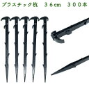 プラ杭 36cm 300本セット プラスチック杭 ネット テント 土留め ロープ固定 シート押さえ 留め具 固定具 畑 農業 家庭菜園 資材 農作業 園芸 ビニ...