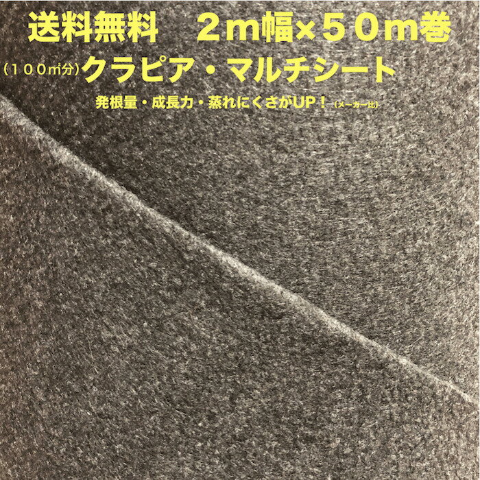 クラピア専用マルチシート （100m2） 2m幅50m巻 吸水性 透水性アップ 病気になりにくいのサムネイル