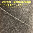 クラピア専用マルチシート （100m2） 2m幅50m巻 吸水性 透水性アップ 病気になりにくい