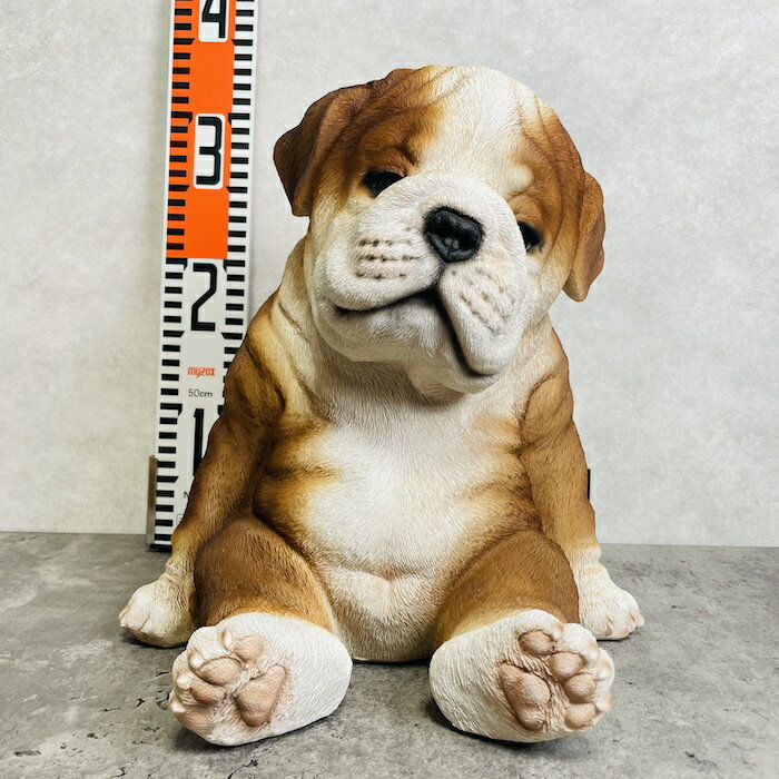 乐天商城 - 犬 置物 大きい かわいい 居眠りするブルドッグ 中 高さ28.5cm woobia ウービア おしゃれ ガーデン インテリア オブジェ プレゼント 北欧 玄関 雑貨 動物 モダン 面白い 庭 ギフト 屋外 家 リアル 玄関先 卓上 ガーデンオーナメント ガーデニング