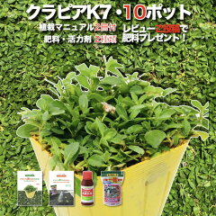 https://thumbnail.image.rakuten.co.jp/@0_mall/midoris-green/cabinet/sonota/k7-10.jpg