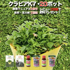 https://thumbnail.image.rakuten.co.jp/@0_mall/midoris-green/cabinet/sonota/k7-20.jpg