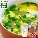 はぎの食品 伊勢えびのだし塩(スープの素)160g&トーノー たっぷりねぎの鶏だし生姜スープ 9食入り お試しセット【メール便送料無料】