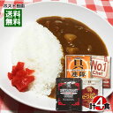 【メール便送料無料】業務用カレー